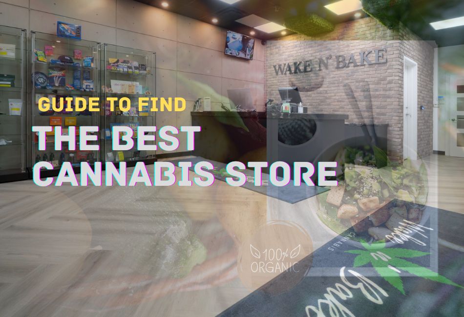 Cannabis Store – Guide to Find the Best